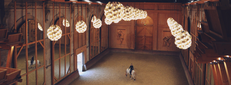 Une écurie à Versailles